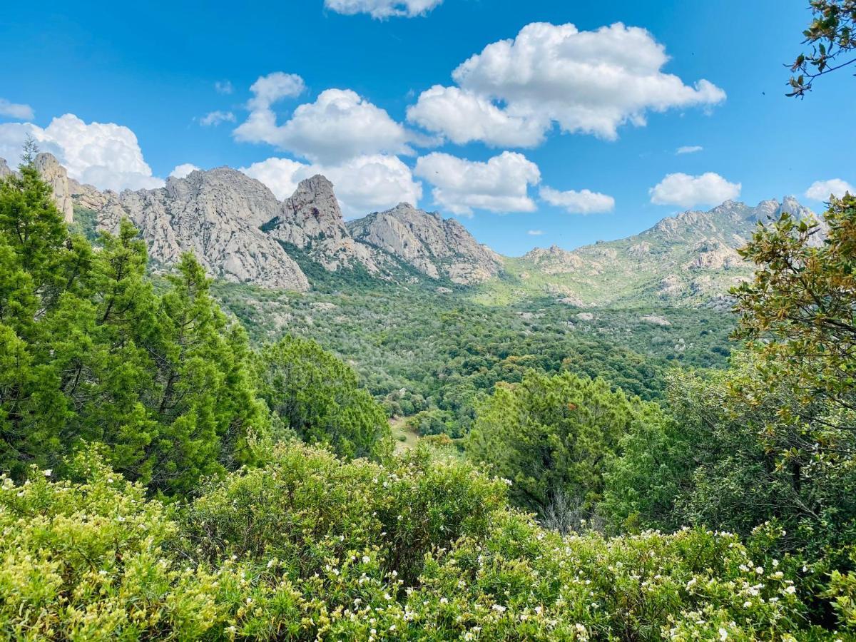 The Sailor'S House Apartment San Pantaleo Bagian luar foto